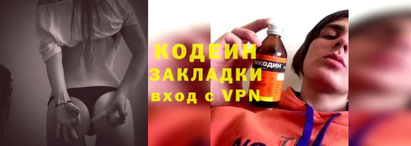 дмт Гусев
