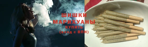 не бодяженный Горно-Алтайск