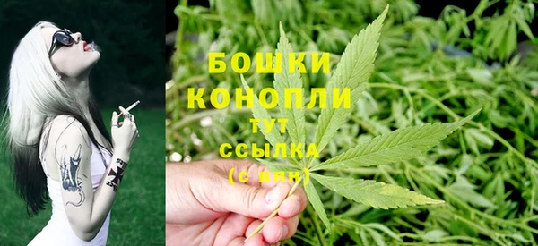 не бодяженный Горно-Алтайск