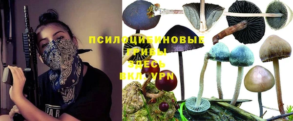 дмт Гусев