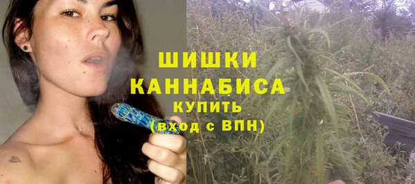не бодяженный Горно-Алтайск