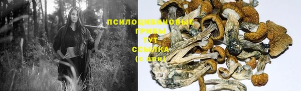 мет Горняк