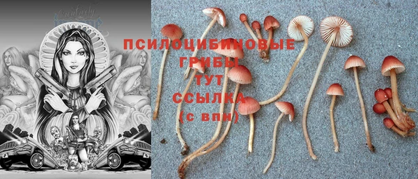 не бодяженный Горно-Алтайск