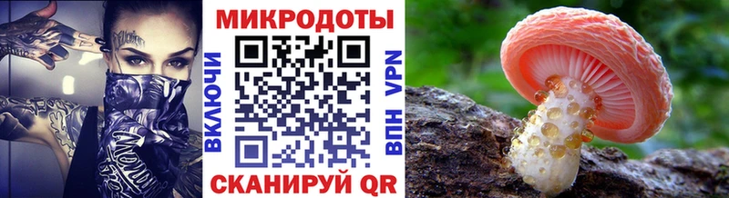 что такое   Благовещенск  Псилоцибиновые грибы MAGIC MUSHROOMS 